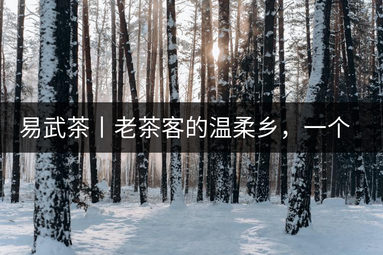 易武茶丨老茶客的溫柔鄉(xiāng)，一個(gè)“柔”字迷倒了多少英雄漢！