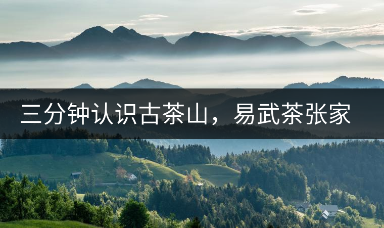 三分鐘認(rèn)識古茶山，易武茶張家灣寨普洱茶口感特點