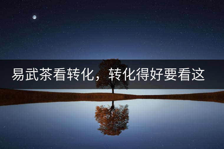 易武茶看轉(zhuǎn)化，轉(zhuǎn)化得好要看這三要素及品牌優(yōu)勢！