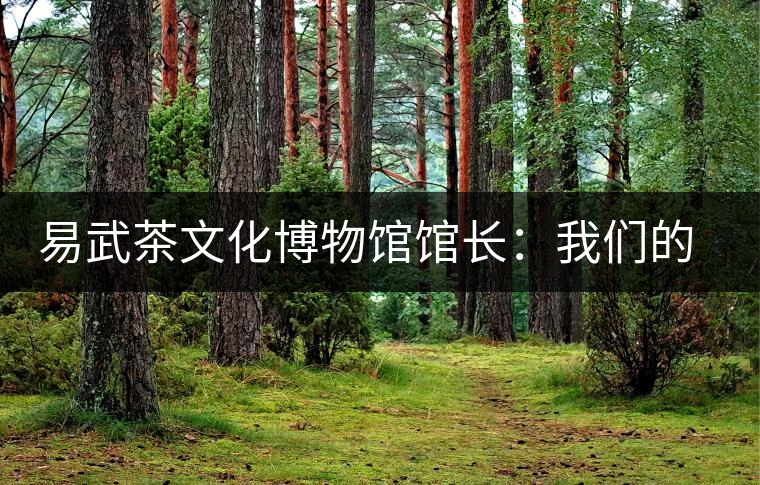 易武茶文化博物館館長(zhǎng):我們的茶祖是孔明 易武茶文化博物館館長(zhǎng):我們的茶祖是孔明