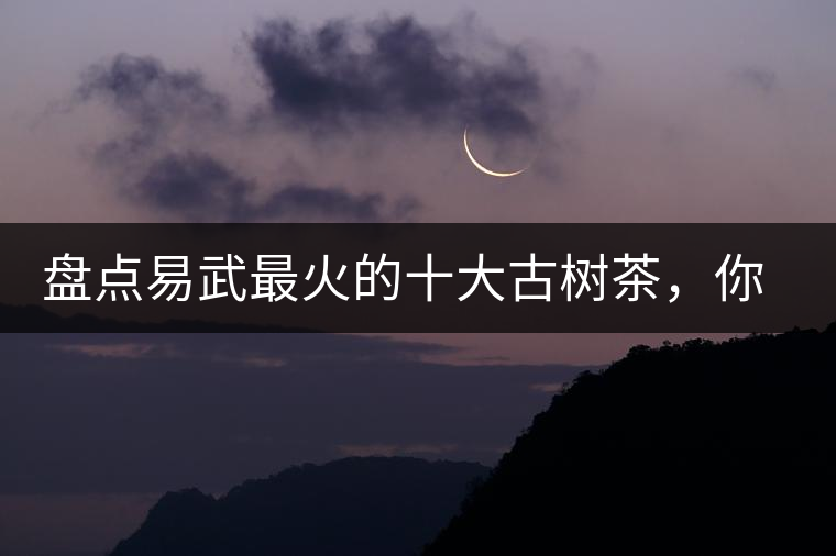 盤點(diǎn)易武最火的十大古樹茶，你喜歡哪款？