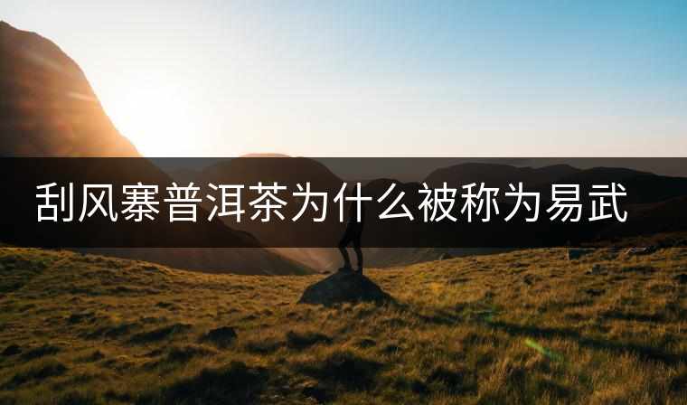 刮風(fēng)寨普洱茶為什么被稱為易武茶王？