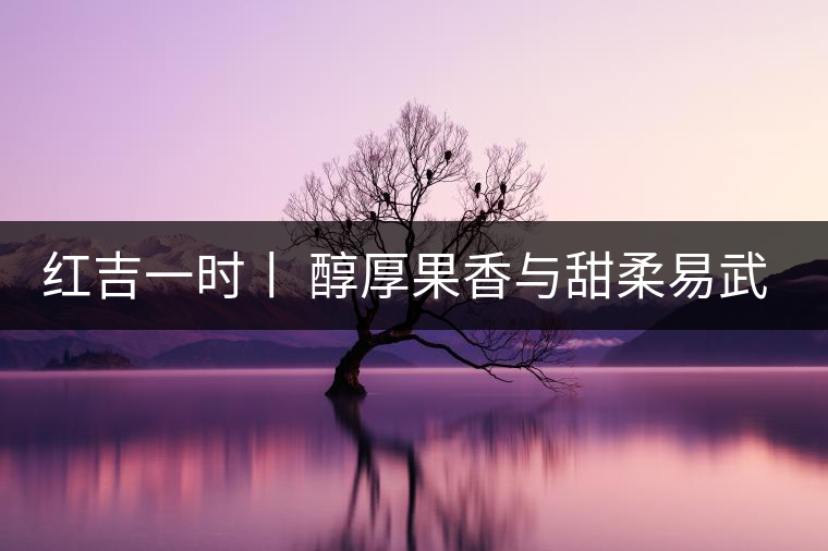 紅吉一時丨 醇厚果香與甜柔易武茶封存成溫煦風味
