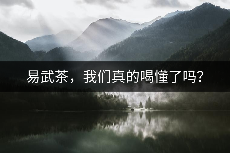 易武茶，我們真的喝懂了嗎？
