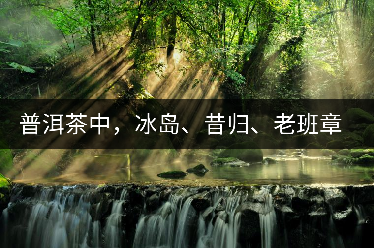 普洱茶中，冰島、昔歸、老班章……你更喜歡哪種？