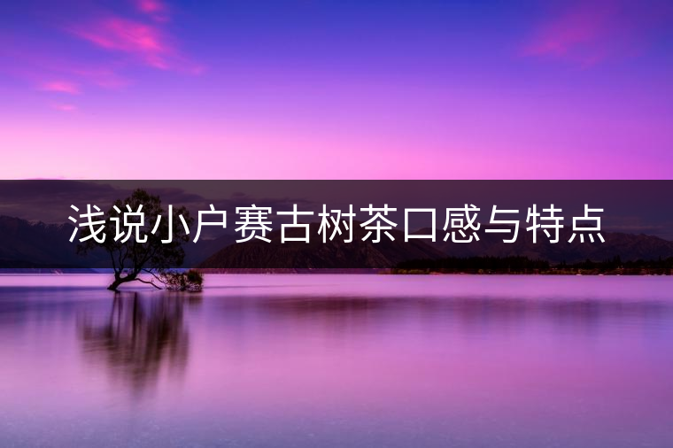 淺說(shuō)小戶(hù)賽古樹(shù)茶口感與特點(diǎn)