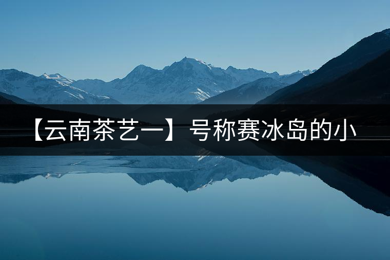 【云南茶藝一】號(hào)稱賽冰島的小戶賽憑什么！今天帶大家一起研究下