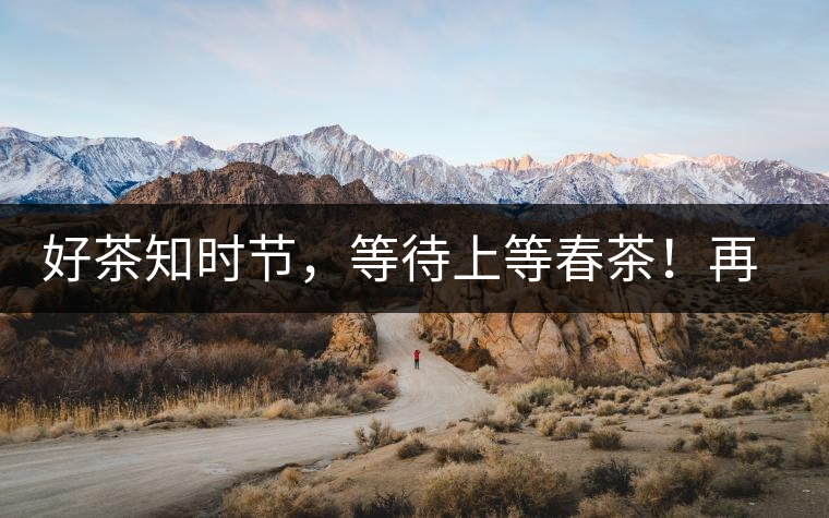 好茶知時節(jié)，等待上等春茶！再來回味這些年喝過的小戶賽古樹春茶