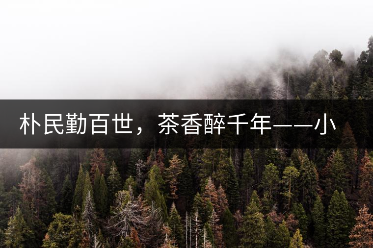 樸民勤百世，茶香醉千年——小戶賽古寨