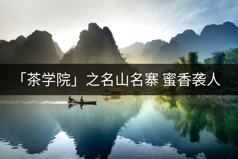 「茶學(xué)院」之名山名寨 蜜香襲人 柔順細滑——小戶賽 「茶學(xué)院」之名山名寨 蜜香襲人 柔順細滑——小戶賽
