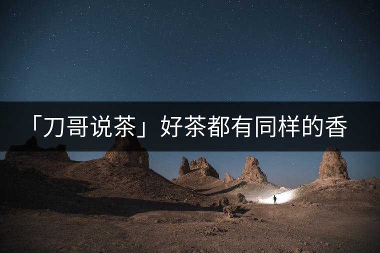 「刀哥說茶」好茶都有同樣的香，破茶卻有不同的味
