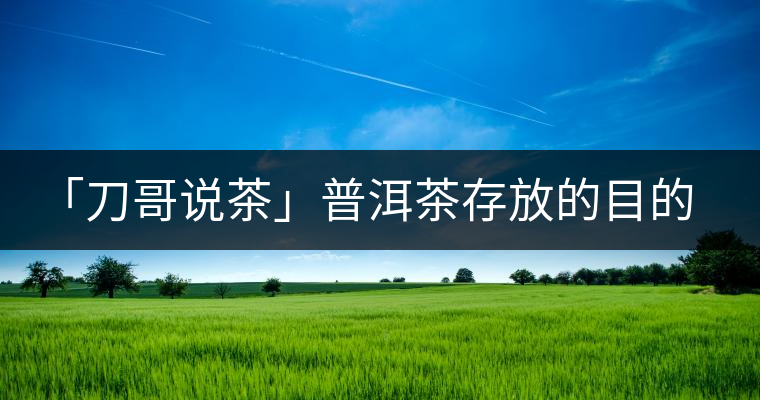 「刀哥說茶」普洱茶存放的目的，是為了轉(zhuǎn)化它的苦澀生青