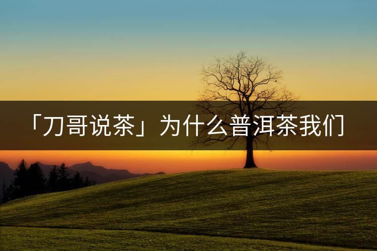 「刀哥說(shuō)茶」為什么普洱茶我們情愿選三無(wú)？