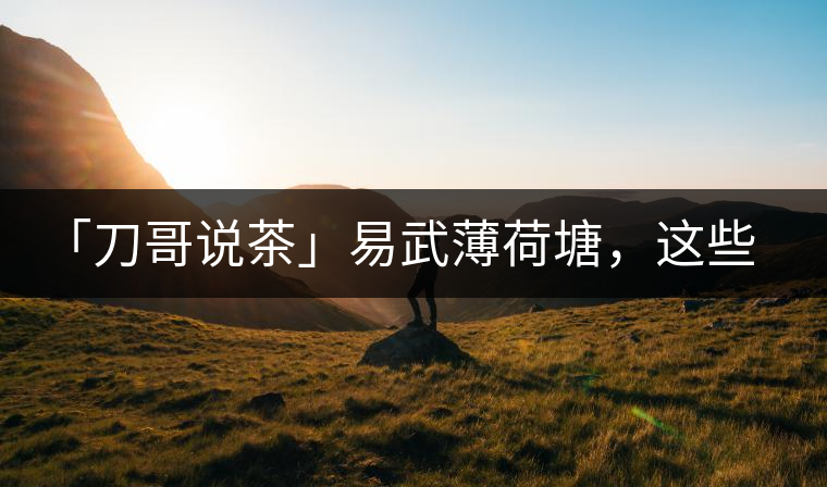 「刀哥說(shuō)茶」易武薄荷塘，這些冷知識(shí)你該知道