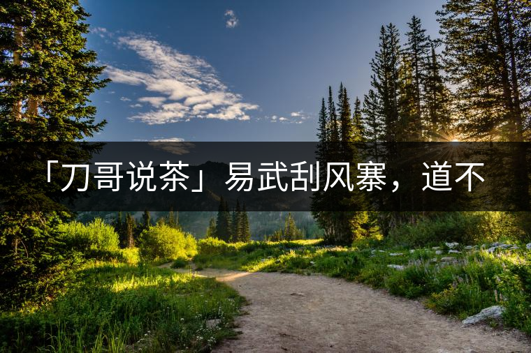 「刀哥說茶」易武刮風(fēng)寨，道不盡的柔美