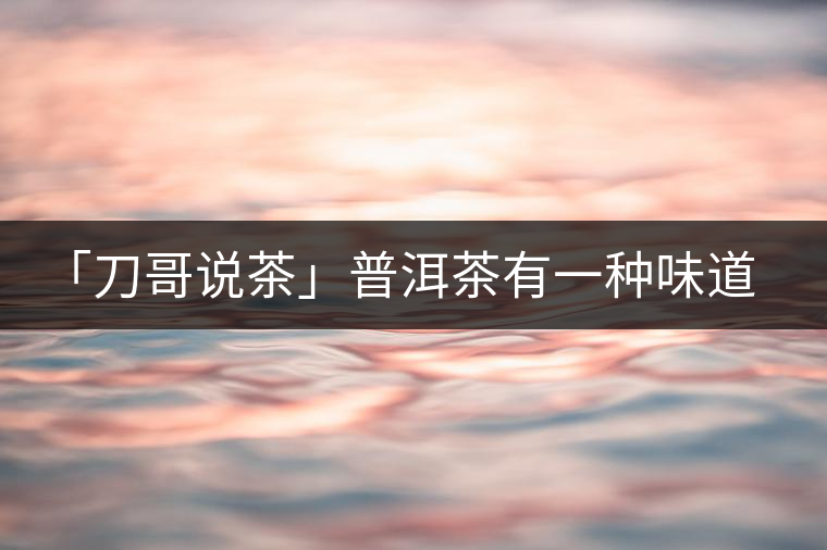 「刀哥說茶」普洱茶有一種味道，只可意會不可言傳