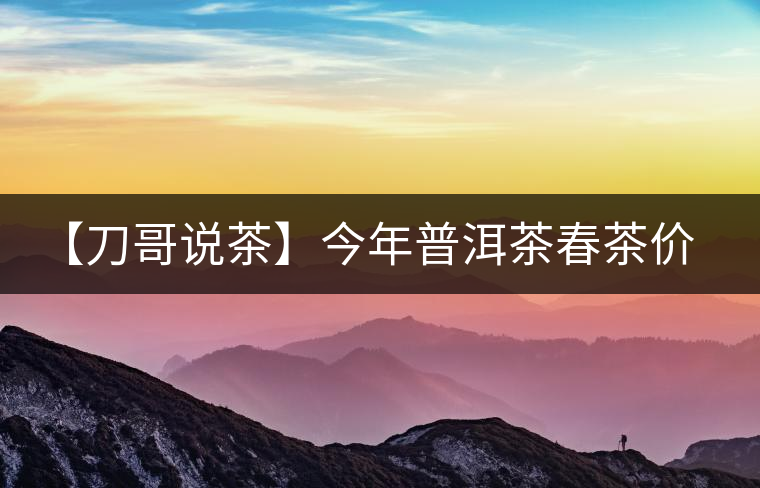 【刀哥說茶】今年普洱茶春茶價格，我不預(yù)測