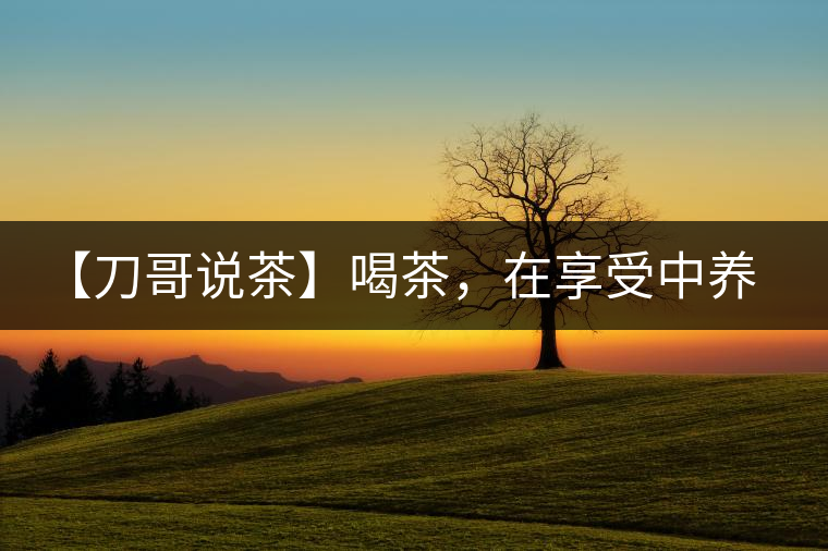 【刀哥說茶】喝茶，在享受中養(yǎng)生的最佳選擇