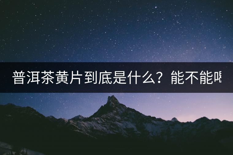 普洱茶黃片到底是什么？能不能喝？