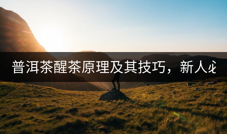 普洱茶醒茶原理及其技巧，新人必備！