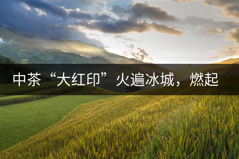 中茶“大紅印”火遍冰城，燃起普洱茶新味蕾