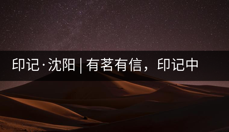 印記·沈陽 | 有茗有信，印記中茶，中茶普洱亮相沈陽茶博會