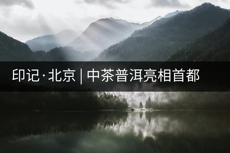 印記·北京 | 中茶普洱亮相首都，“大紅印”斬獲“特別金獎”
