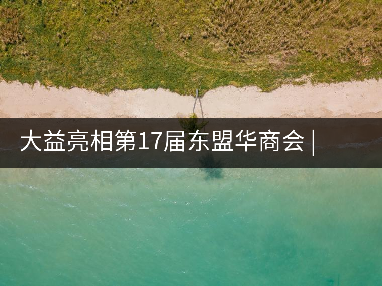 大益亮相第17屆東盟華商會(huì) | 海內(nèi)外嘉賓共謀發(fā)展，共品大益茶