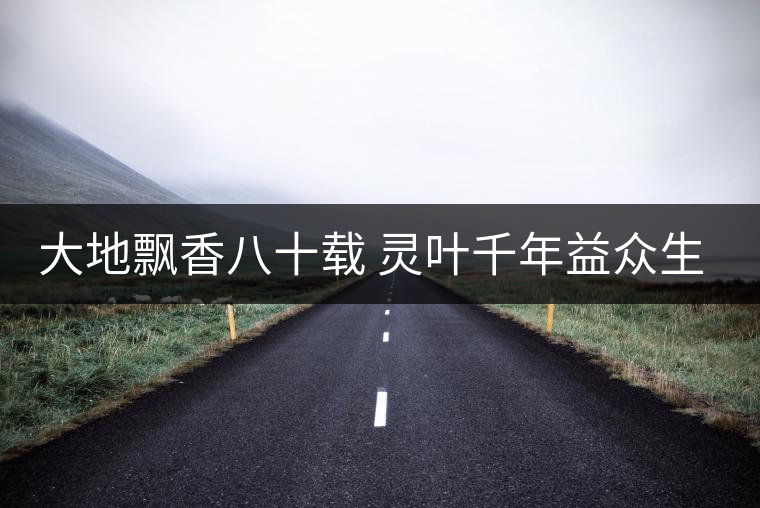大地飄香八十載 靈葉千年益眾生——記云南大益茶業(yè)集團(tuán)