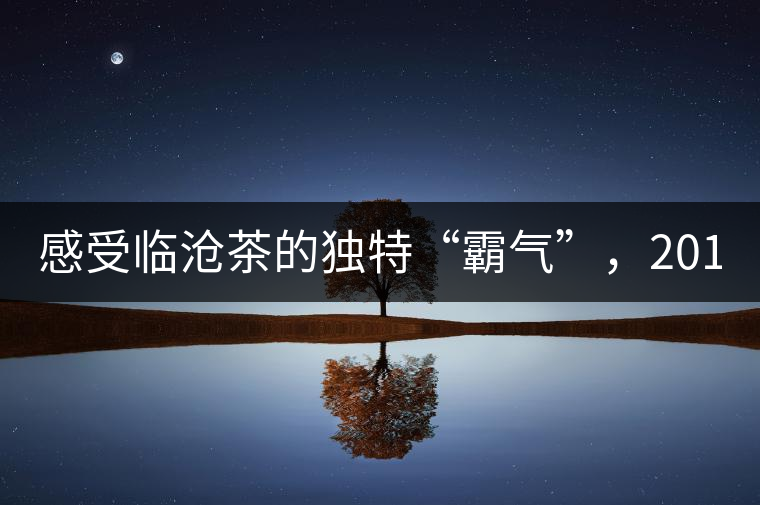 感受臨滄茶的獨特“霸氣”，2018“忙肺”帶給您不一...感受臨滄茶的獨特“霸氣”，2018“忙肺”帶給您不一樣的體驗！