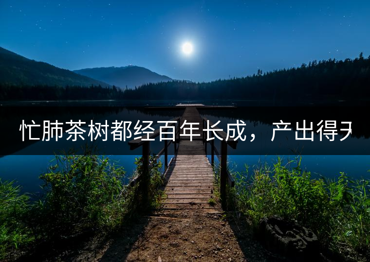 忙肺茶樹都經(jīng)百年長成，產(chǎn)出得天獨(dú)厚的好味道:入口香...忙肺茶樹都經(jīng)百年長成，產(chǎn)出得天獨(dú)厚的好味道：入口香甜回甘持久