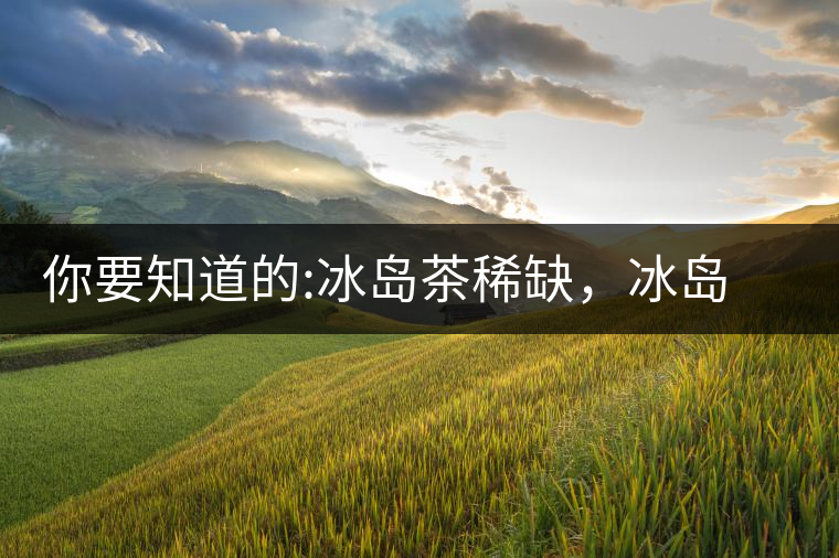你要知道的:冰島茶稀缺，冰島熟茶更來之不易你要知道的：冰島茶稀缺，冰島熟茶更來之不易