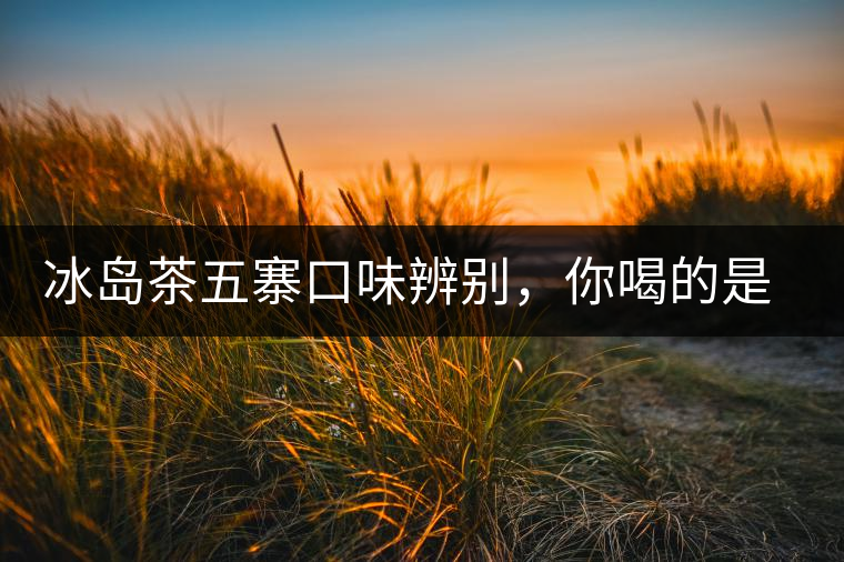 冰島茶五寨口味辨別，你喝的是正宗冰島茶嗎?冰島茶五寨口味辨別，你喝的是正宗冰島茶嗎？