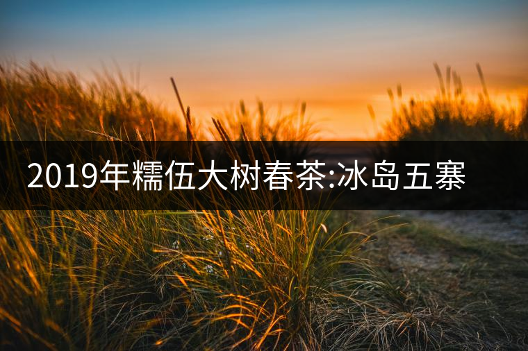 2019年糯伍大樹春茶:冰島五寨甜柔口感的代表，售價不...2019年糯伍大樹春茶：冰島五寨甜柔口感的代表，售價不到500