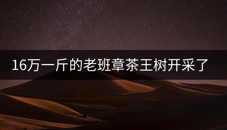 16萬一斤的老班章茶王樹開采了，茶友果斷拉了一車現(xiàn)金去...16萬一斤的老班章茶王樹開采了，茶友果斷拉了一車現(xiàn)金去！