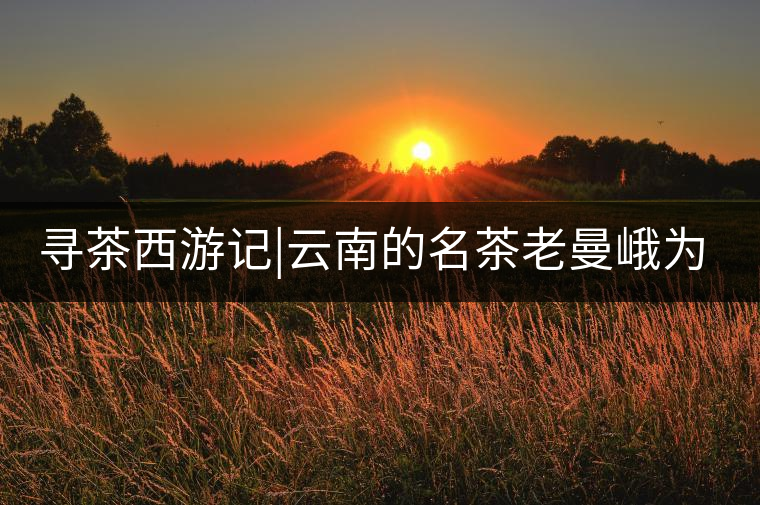 尋茶西游記|云南的名茶老曼峨為什么這么多人愛，這里...尋茶西游記｜云南的名茶老曼峨為什么這么多人愛，這里給你答案！