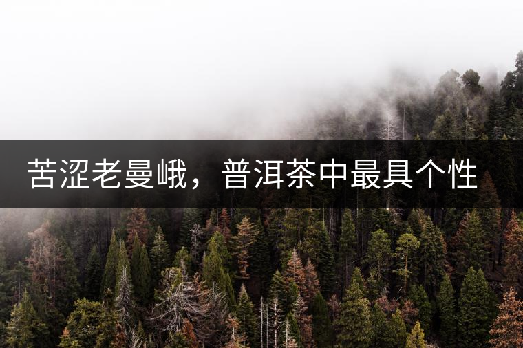 苦澀老曼峨，普洱茶中最具個性的“布朗味”苦澀老曼峨，普洱茶中最具個性的“布朗味”