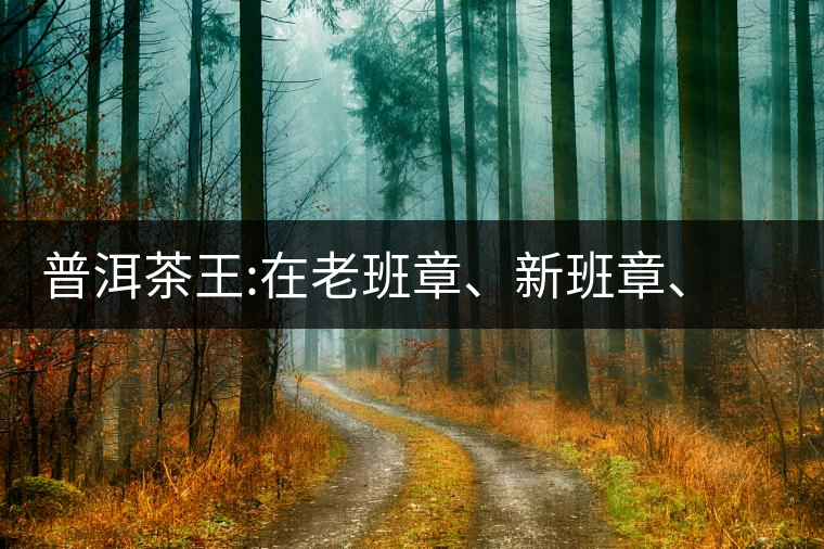 普洱茶王:在老班章、新班章、老曼峨之間普洱茶王：在老班章、新班章、老曼峨之間