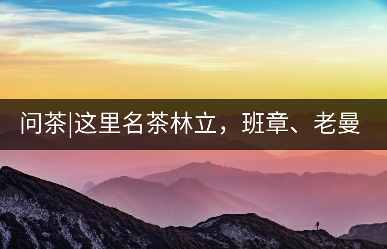 問茶|這里名茶林立，班章、老曼峨皆在其列!問茶｜這里名茶林立，班章、老曼峨皆在其列！