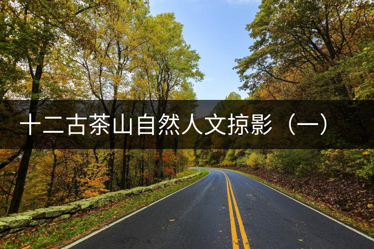 十二古茶山自然人文掠影（一）賀開