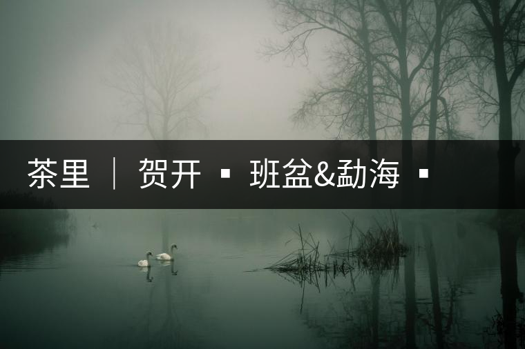 茶里 │ 賀開 ? 班盆&勐海 ? 南糯山多依寨/拔瑪 ? 帕沙