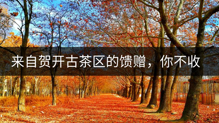 來自賀開古茶區(qū)的饋贈，你不收一波嗎?來自賀開古茶區(qū)的饋贈，你不收一波嗎？