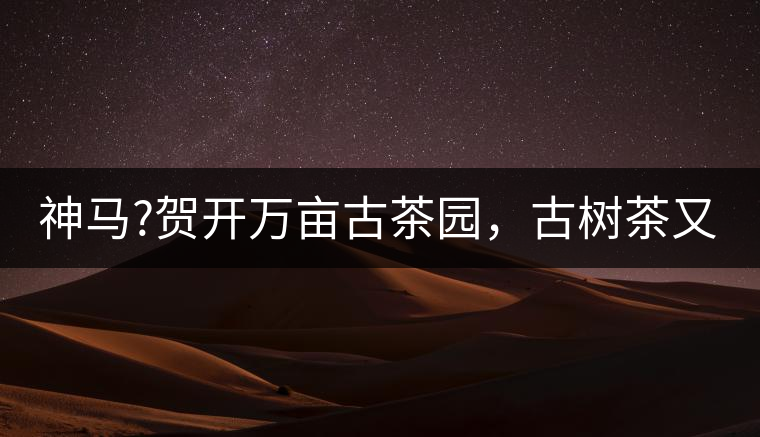 神馬?賀開萬畝古茶園，古樹茶又多又純又便宜!神馬？賀開萬畝古茶園，古樹茶又多又純又便宜！