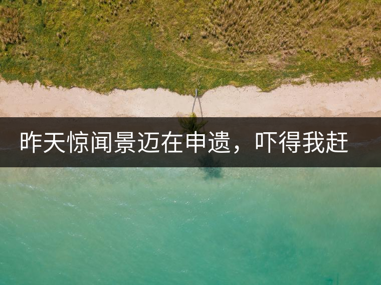 昨天驚聞景邁在申遺，嚇得我趕緊拿出景邁茶……昨天驚聞景邁在申遺，嚇得我趕緊拿出景邁茶……