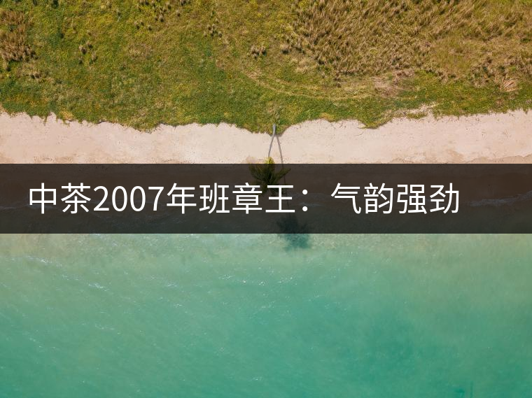 中茶2007年班章王：氣韻強勁，蜂蜜水般甜潤，一直被老茶客撿漏