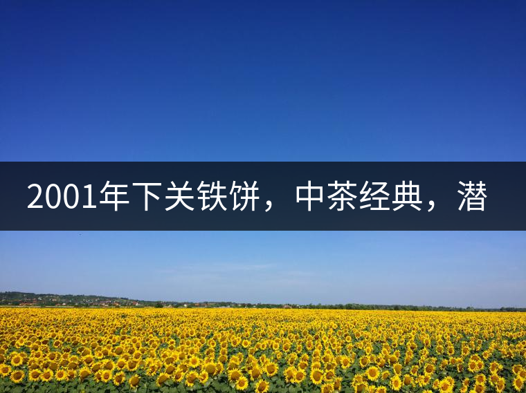 2001年下關(guān)鐵餅，中茶經(jīng)典，潛力可期!