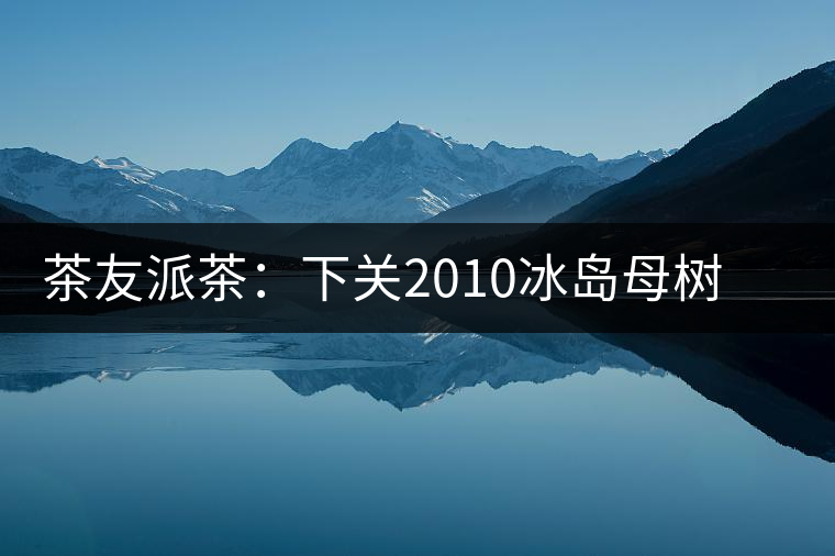 茶友派茶：下關(guān)2010冰島母樹，挺甜的，母樹是個(gè)什么概念？