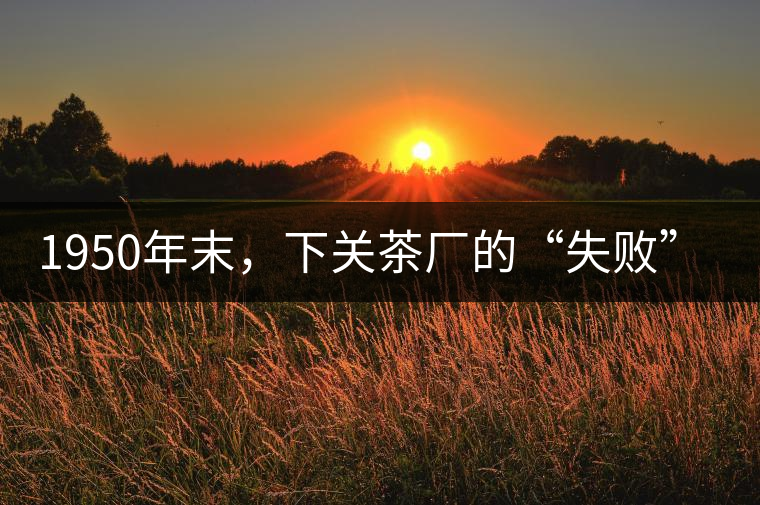 1950年末，下關(guān)茶廠的“失敗”改良，無(wú)意造就了這批...1950年末，下關(guān)茶廠的“失敗”改良，無(wú)意造就了這批經(jīng)典鐵餅茶！