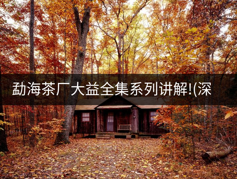 勐海茶廠大益全集系列講解!(深度講解大益茶品，建議收藏...勐海茶廠大益全集系列講解?。ㄉ疃戎v解大益茶品，建議收藏）