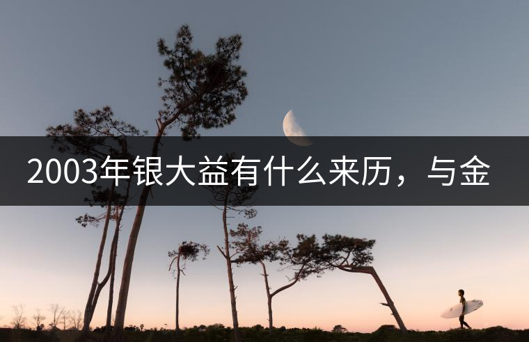 2003年銀大益有什么來歷，與金大益的關(guān)系是什么?2003年銀大益有什么來歷，與金大益的關(guān)系是什么？